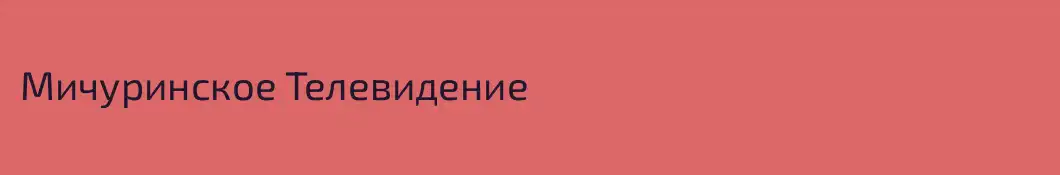 Мичуринское Телевидение